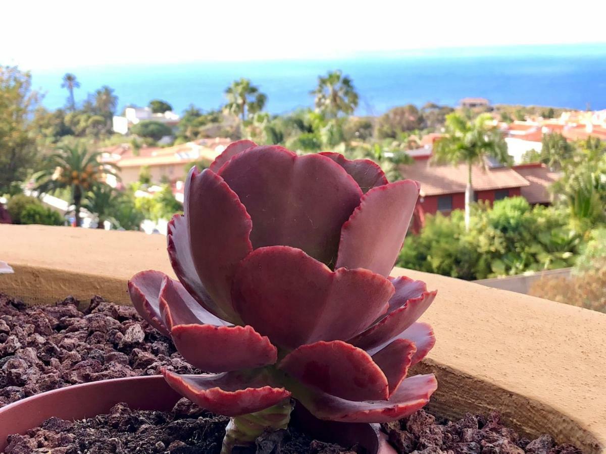 Appartamento Terraza vista océano La Quinta Santa Úrsula Esterno foto