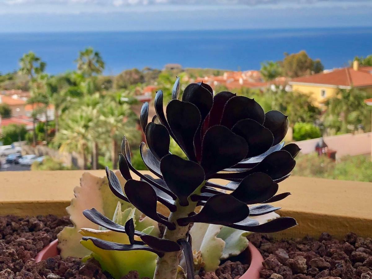 Appartamento Terraza vista océano La Quinta Santa Úrsula Esterno foto